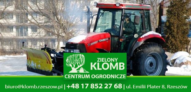 Ekipa odśnieżająca w Rzeszowie
