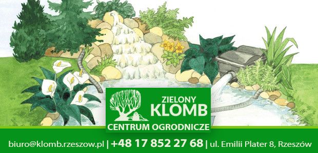 Kontrola stanu filtrów w oczku wodnym
