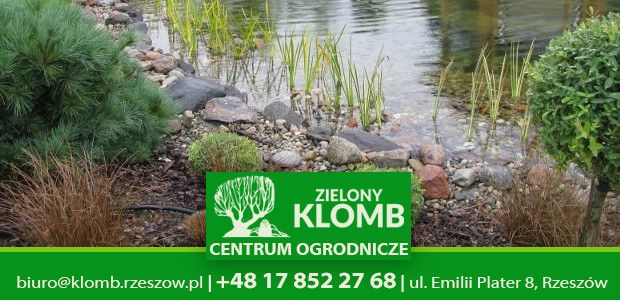 Woda w oczku wodnym pod kontrolą