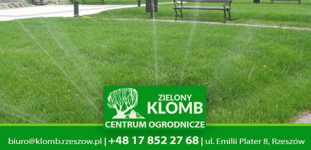 Pielęgnacja trawnika jesienią