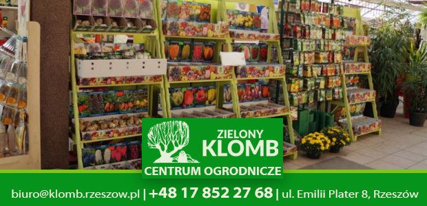 Przygotowanie ciepłego inspektu