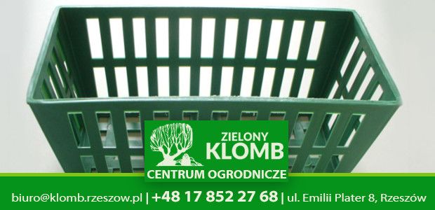 Sadzenie cebul w koszyczkach